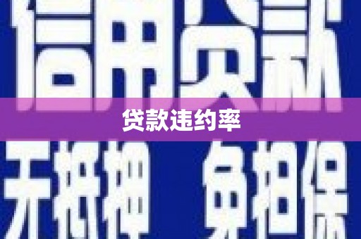 象州贷款违约率