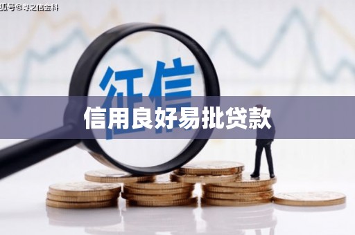 象州信用良好易批贷款