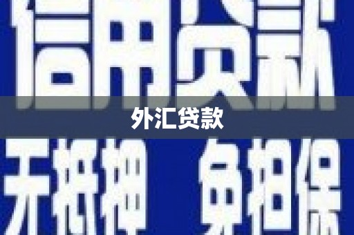 象州外汇贷款