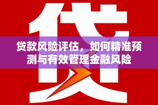 象州贷款风险评估，如何精准预测与有效管理金融风险