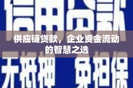 象州供应链贷款，企业资金流动的智慧之选