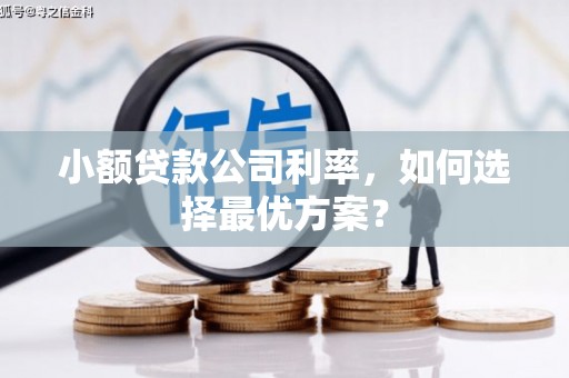 象州小额贷款公司利率，如何选择最优方案？