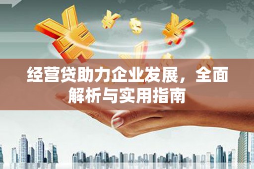 象州经营贷助力企业发展，全面解析与实用指南