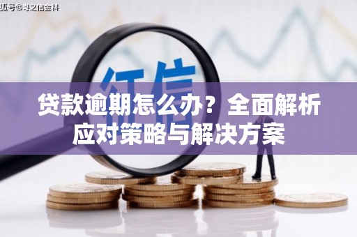 象州贷款逾期怎么办？全面解析应对策略与解决方案