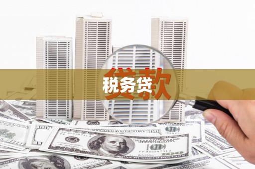 象州税务贷