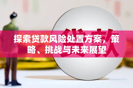 象州探索贷款风险处置方案，策略、挑战与未来展望