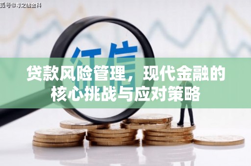 象州贷款风险管理，现代金融的核心挑战与应对策略