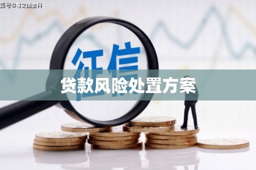 象州贷款风险处置方案