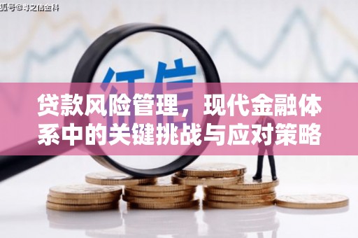 象州贷款风险管理，现代金融体系中的关键挑战与应对策略