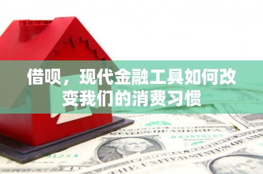 象州借呗，现代金融工具如何改变我们的消费习惯