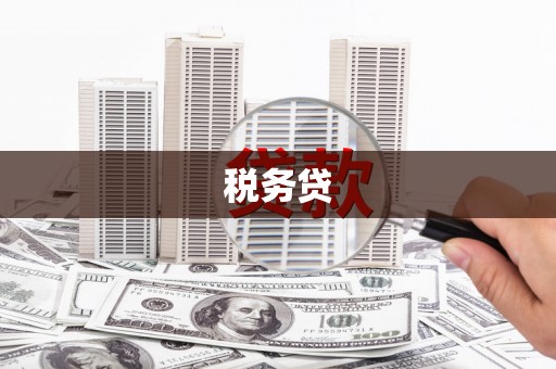 象州税务贷