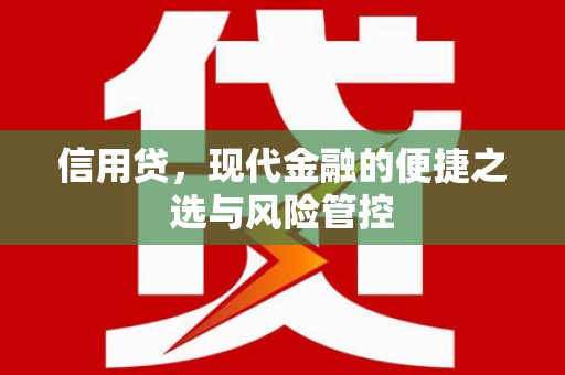 象州信用贷，现代金融的便捷之选与风险管控