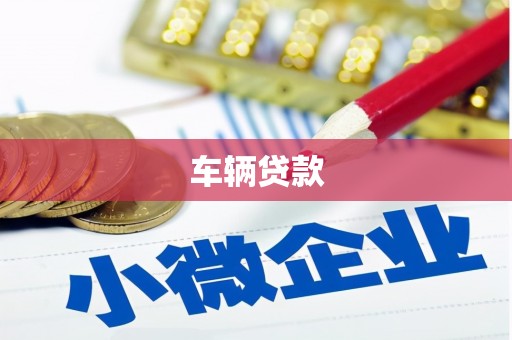 象州车辆贷款
