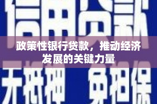 象州政策性银行贷款，推动经济发展的关键力量
