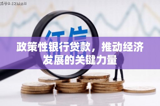 象州政策性银行贷款，推动经济发展的关键力量