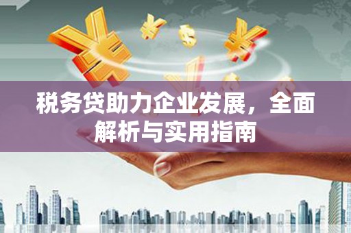 象州税务贷助力企业发展，全面解析与实用指南