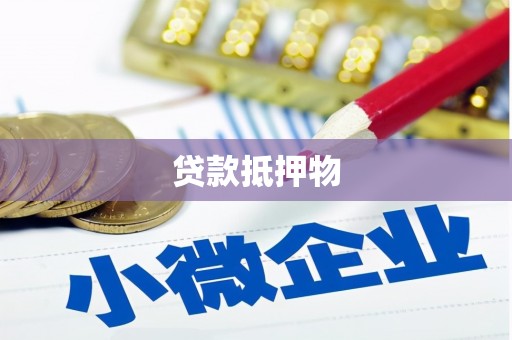 象州贷款抵押物