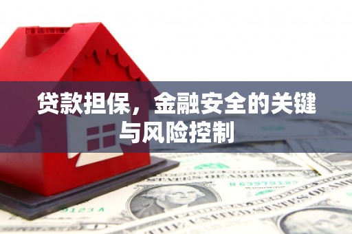 象州贷款担保，金融安全的关键与风险控制