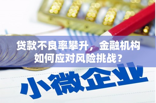 象州贷款不良率攀升，金融机构如何应对风险挑战？