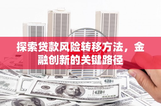 象州探索贷款风险转移方法，金融创新的关键路径