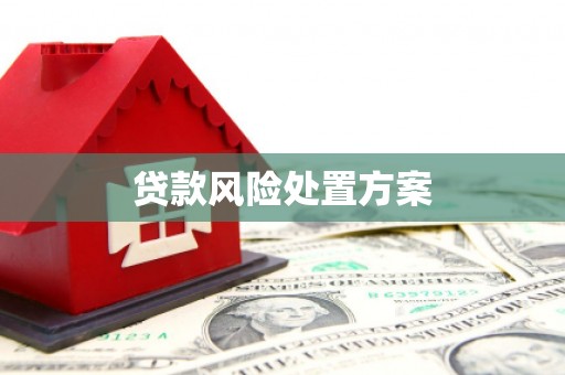 象州贷款风险处置方案